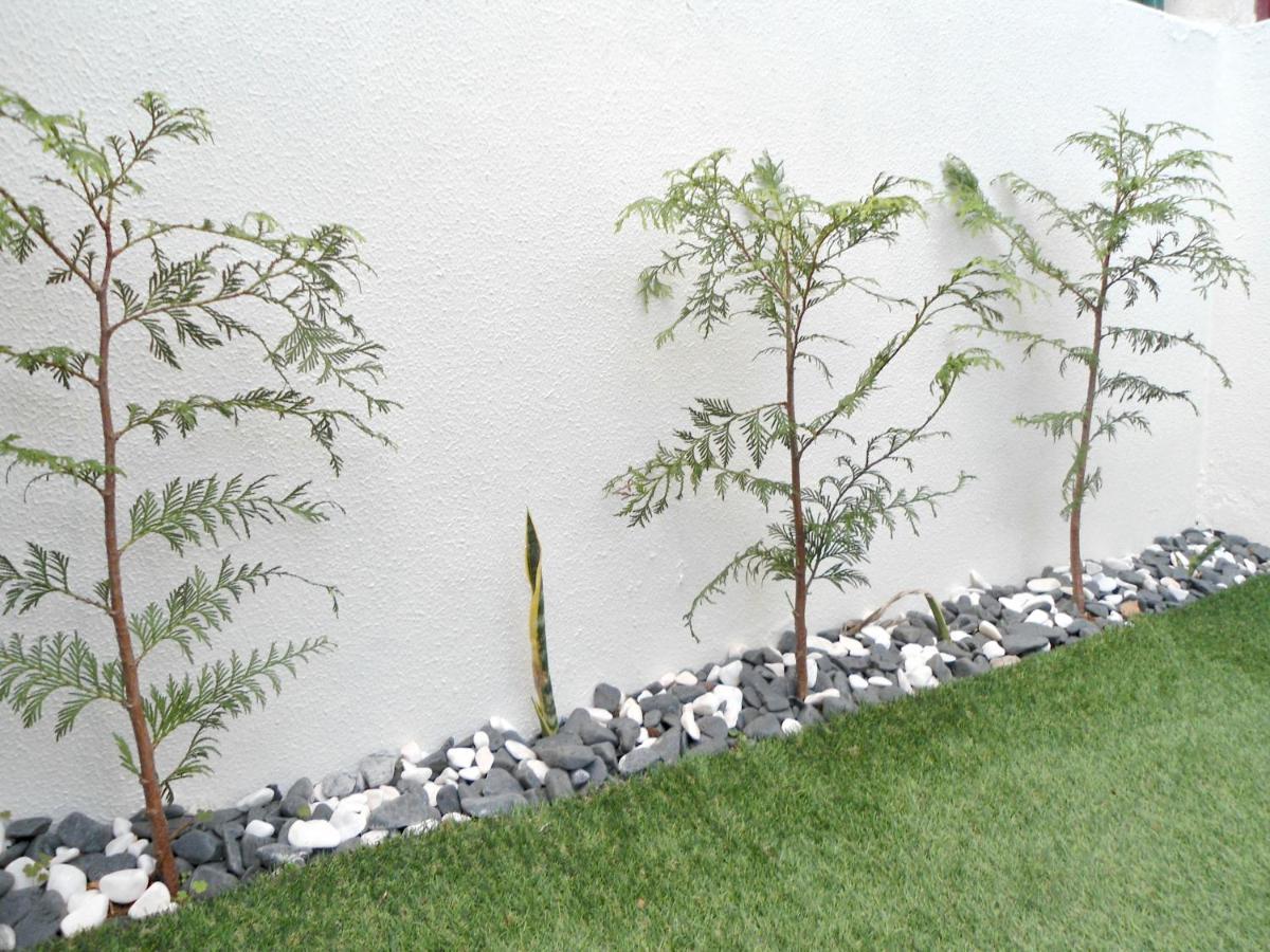 Garden'S Apartment Funchal  Extérieur photo