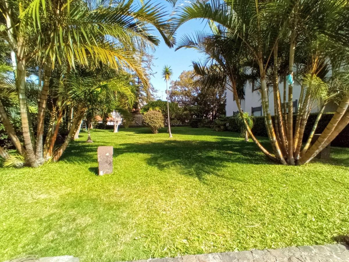 Garden'S Apartment Funchal  Extérieur photo